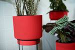 b.for studio rond 30cm briljant rood